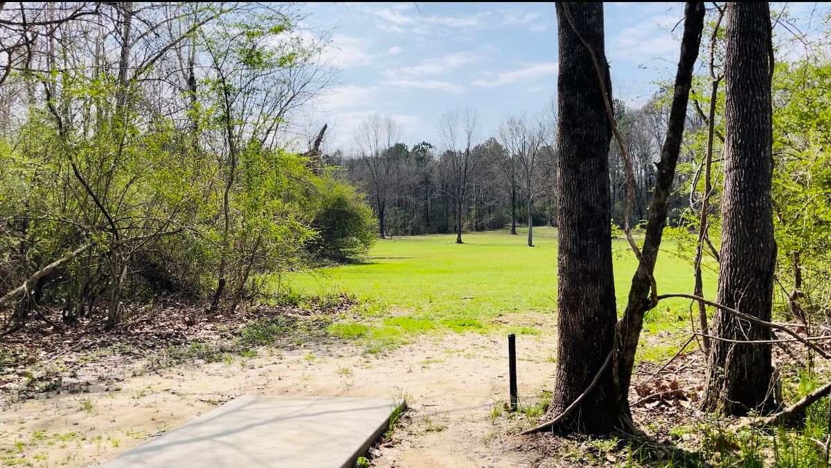 Hole 13