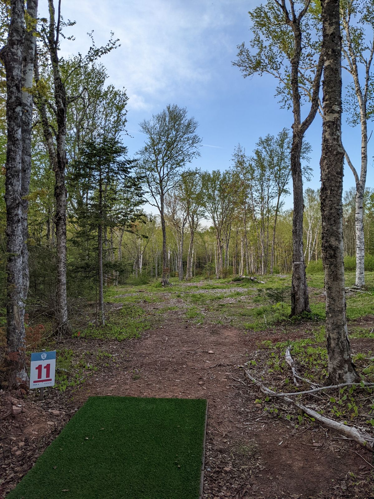 Hole 11, 400ft downhill par 3, a few good lines available