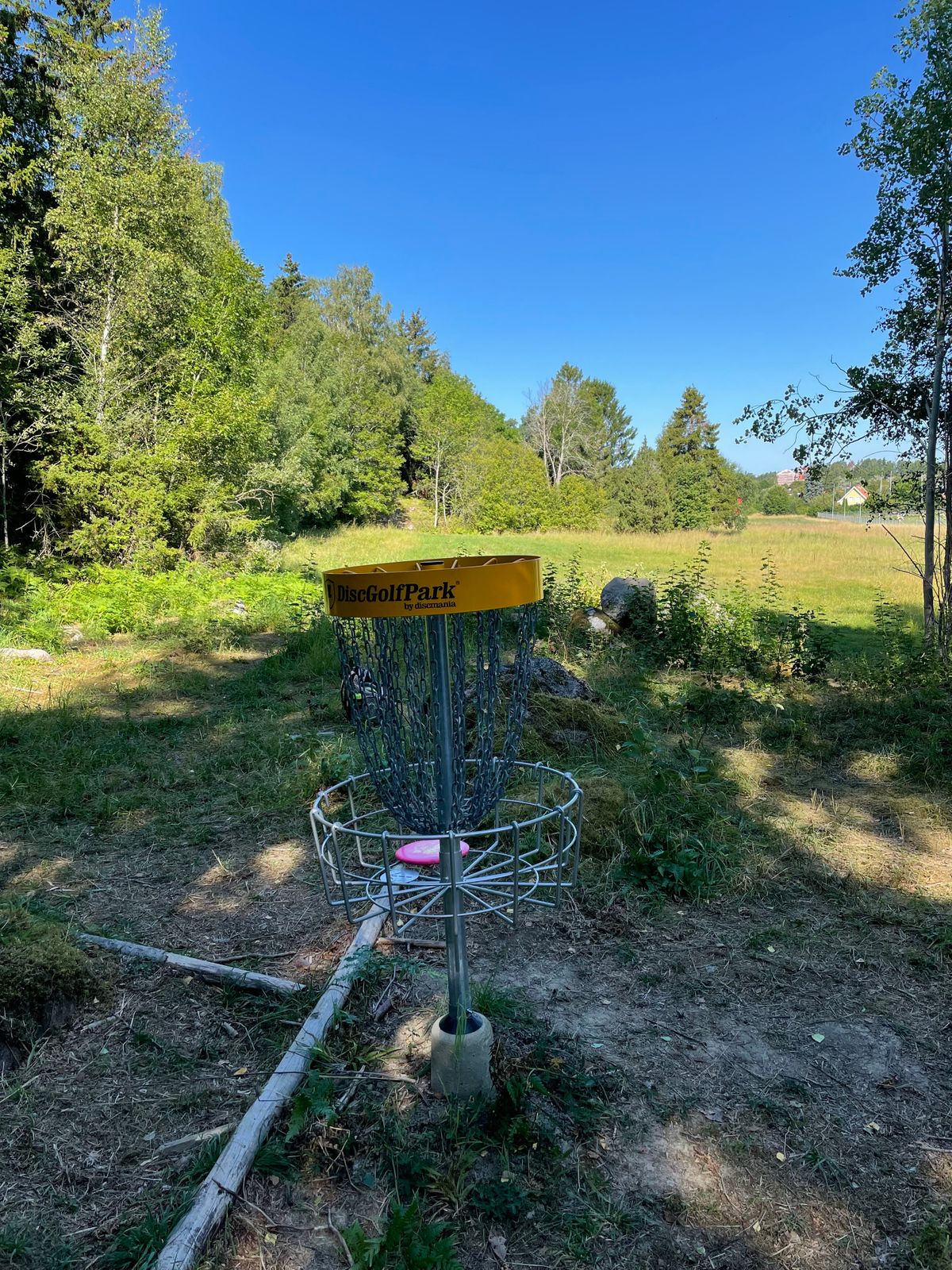 Hål 4 Korg. Tee ligger upp till vänster i skogen i slutet på ängen.
