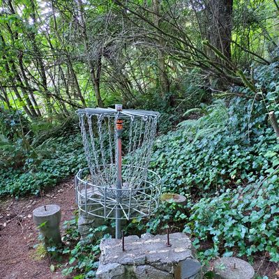 Basket #3 has concrete "sculptures".