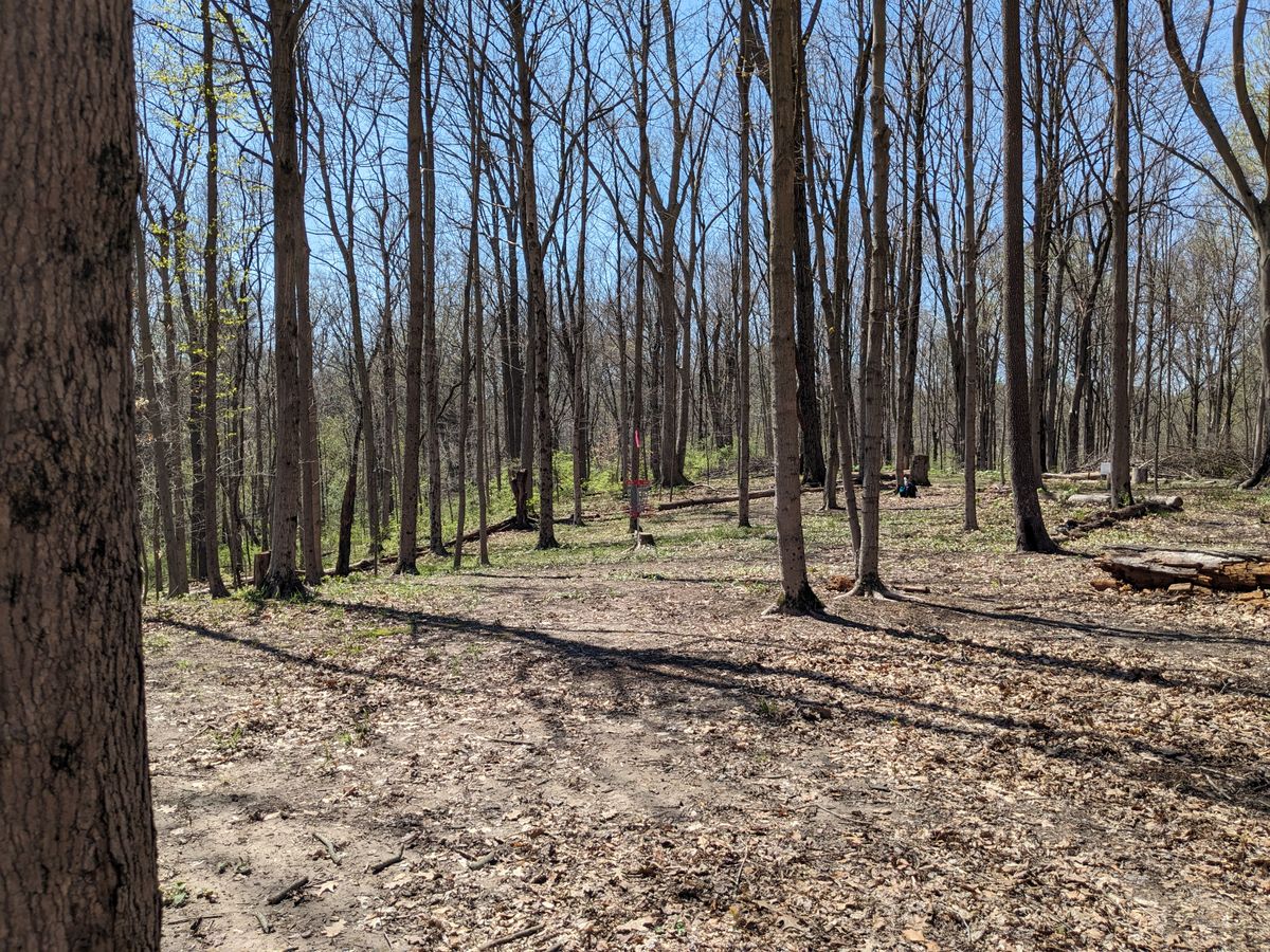 #6 from Fairway