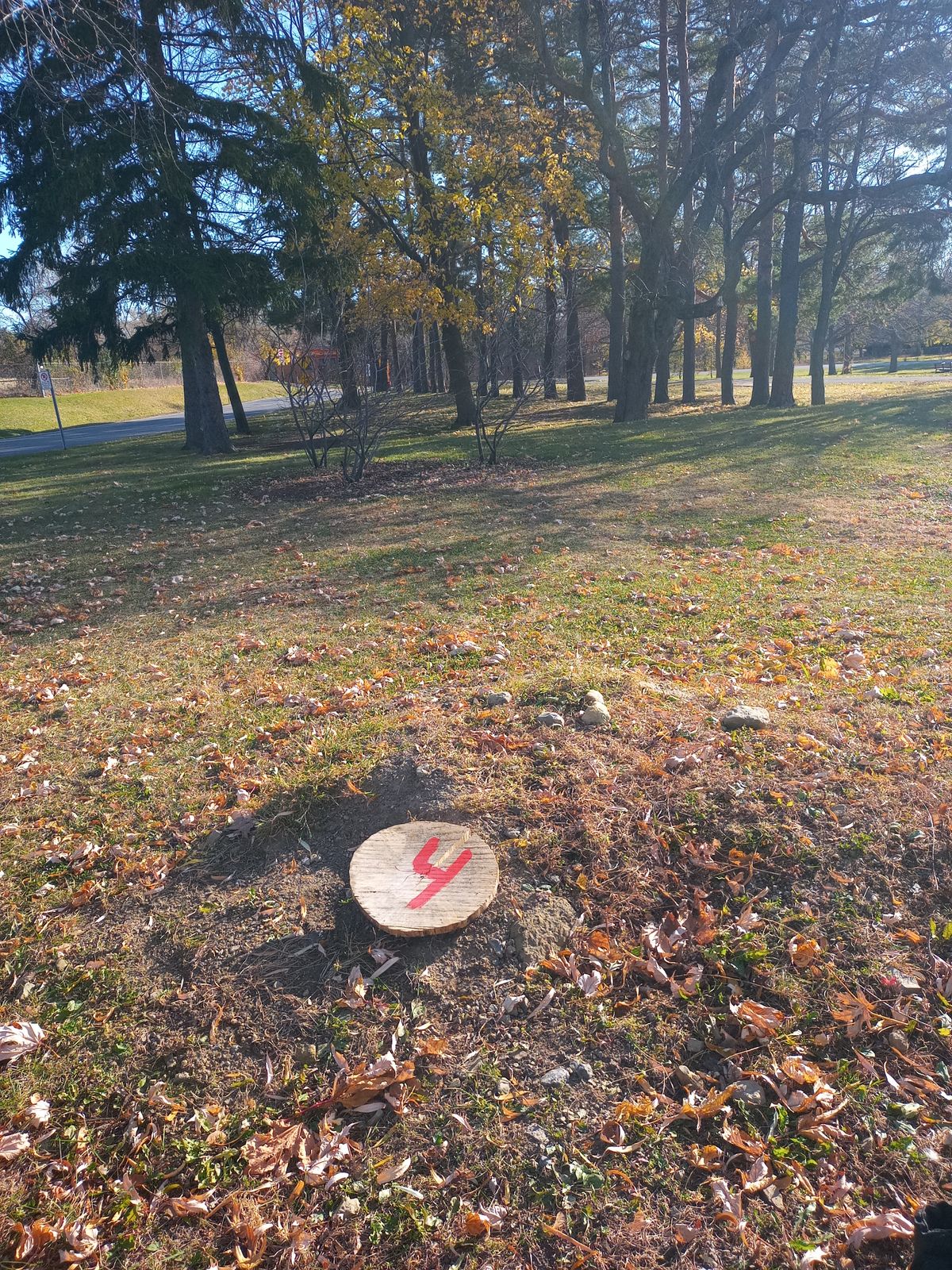 Hole 4 tee