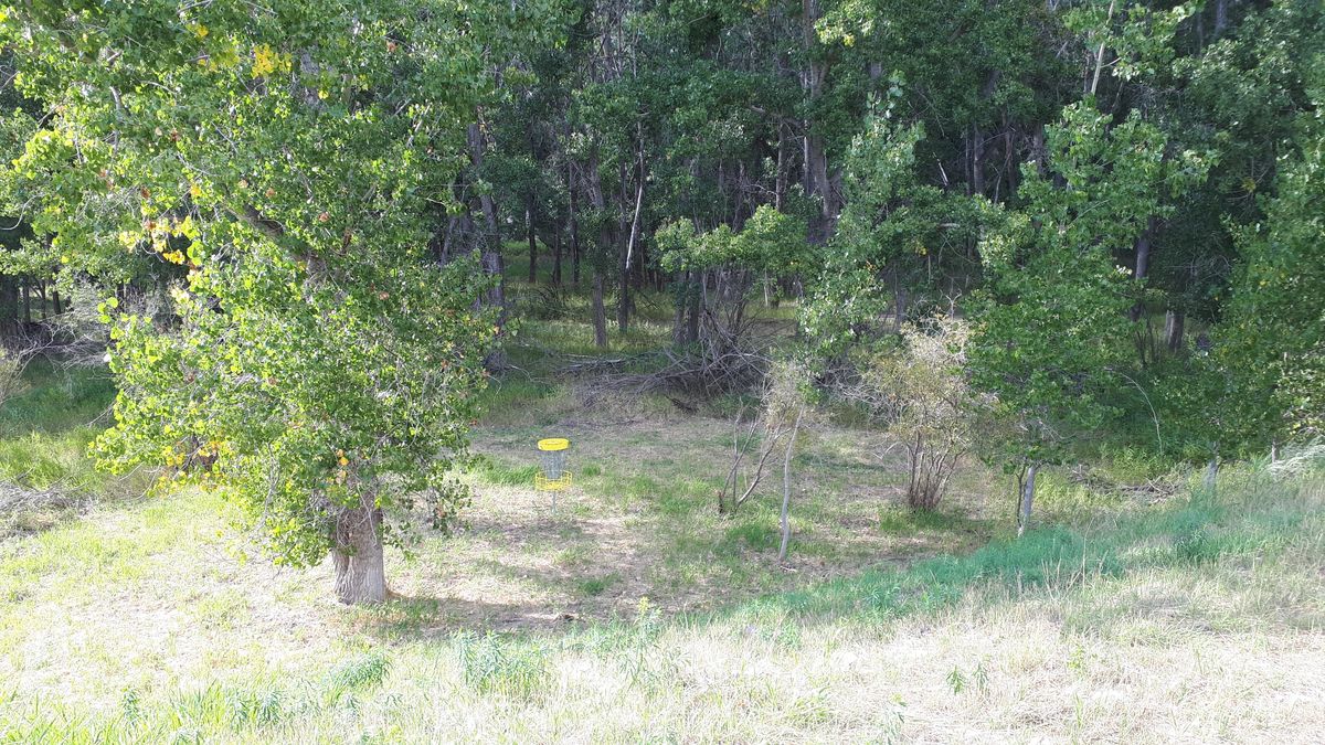 Hole 9 green and basket.
