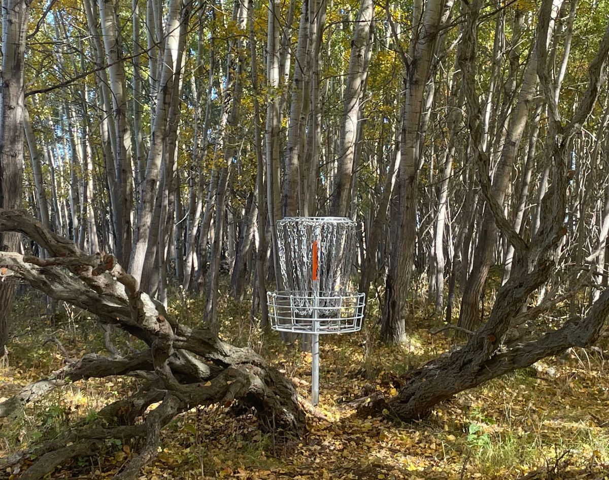 Spider Hole, #16