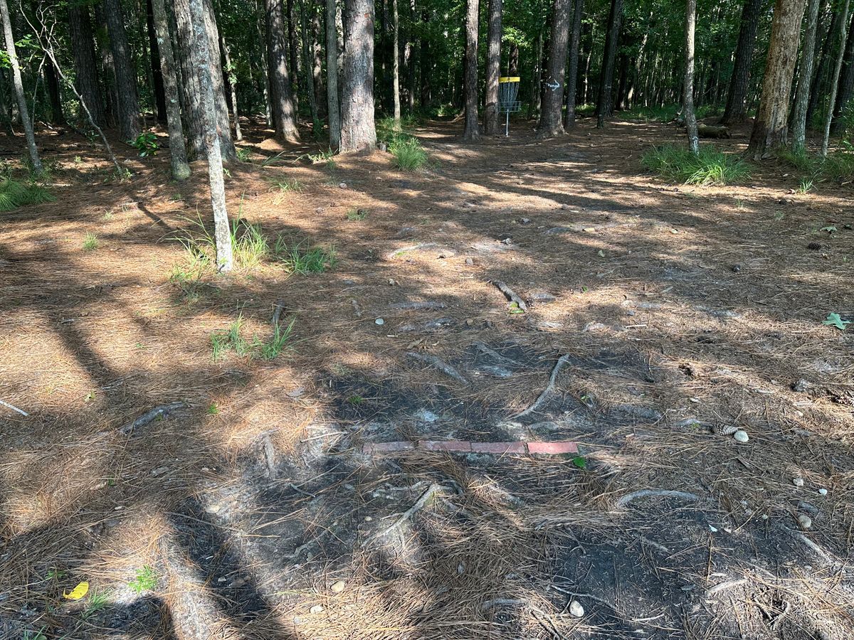 Hole 8 Drop Zone
