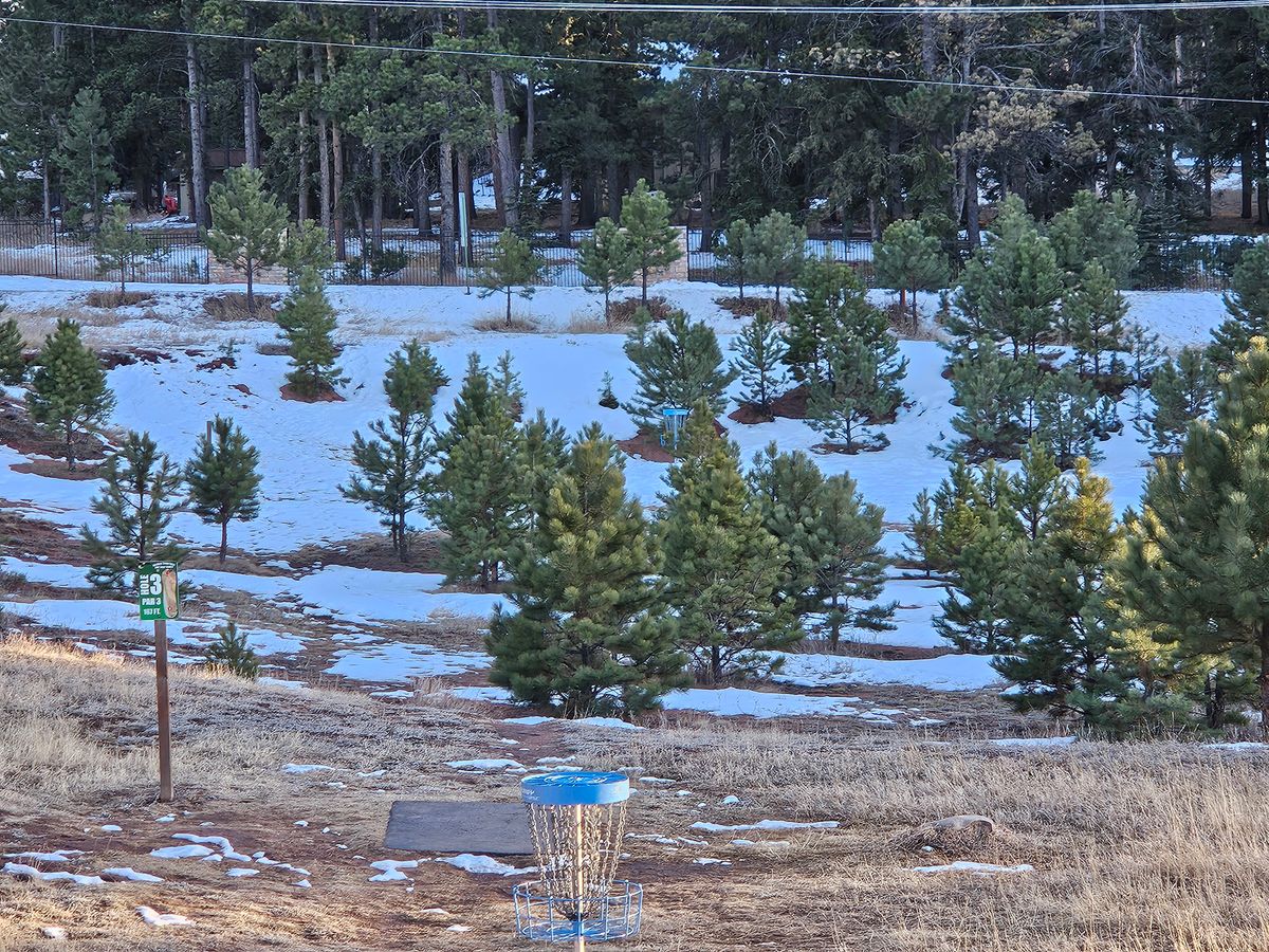 Hole 3 longs/safari to long basket