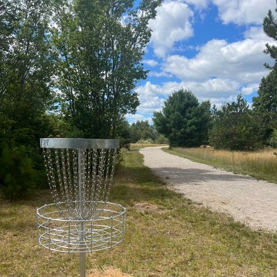 Basket Hole 4 - Looking back down the fairway.