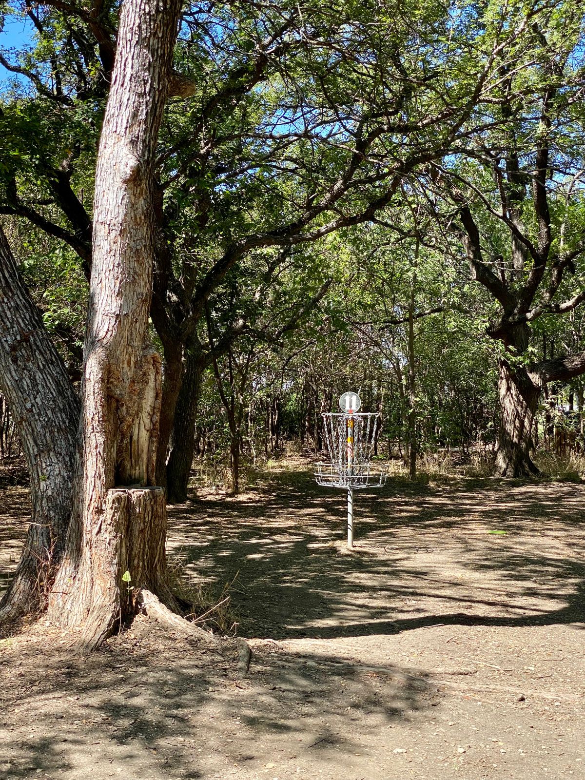 Hole 11’s basket.