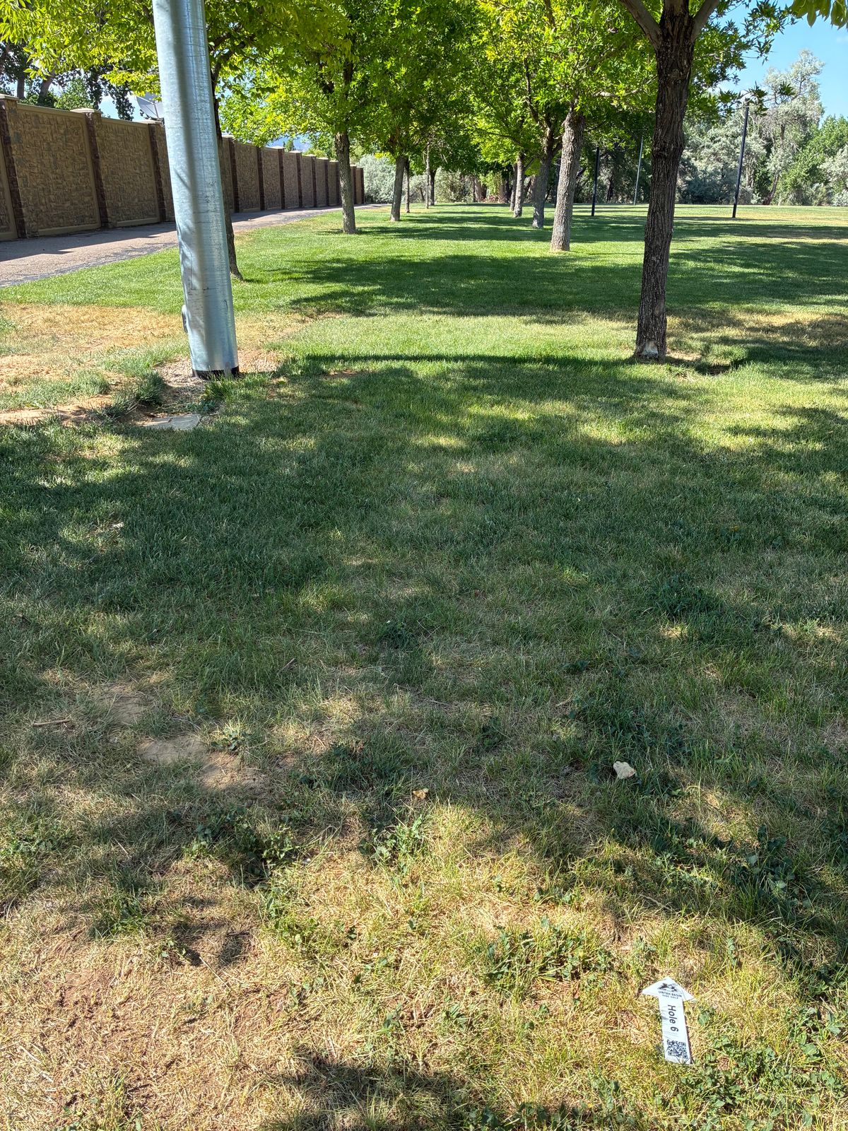 Hole 6, tight lines or pay fines