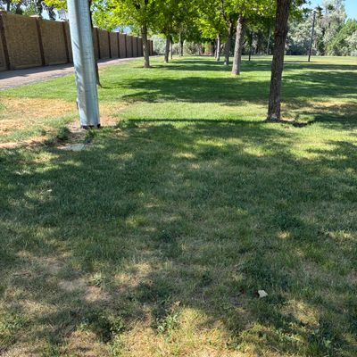 Hole 6, tight lines or pay fines