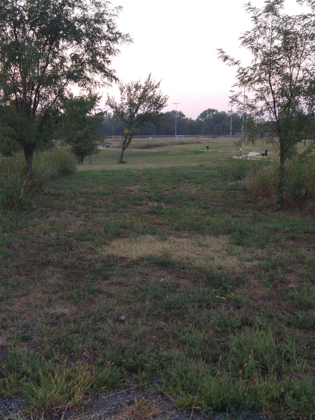 Fairway look at the 8th basket.