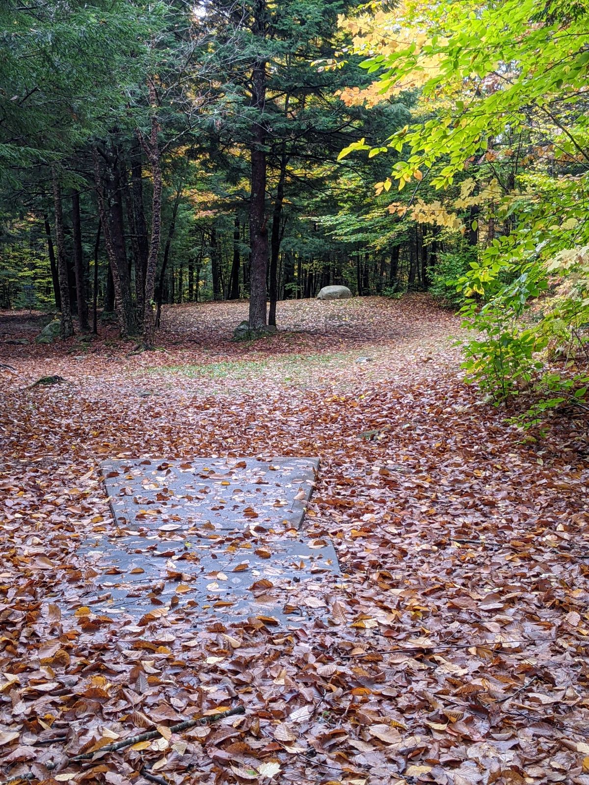 Hole 16 tee area