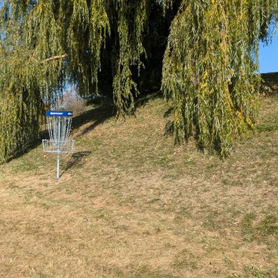 Hole 8 basket - Fall 2024