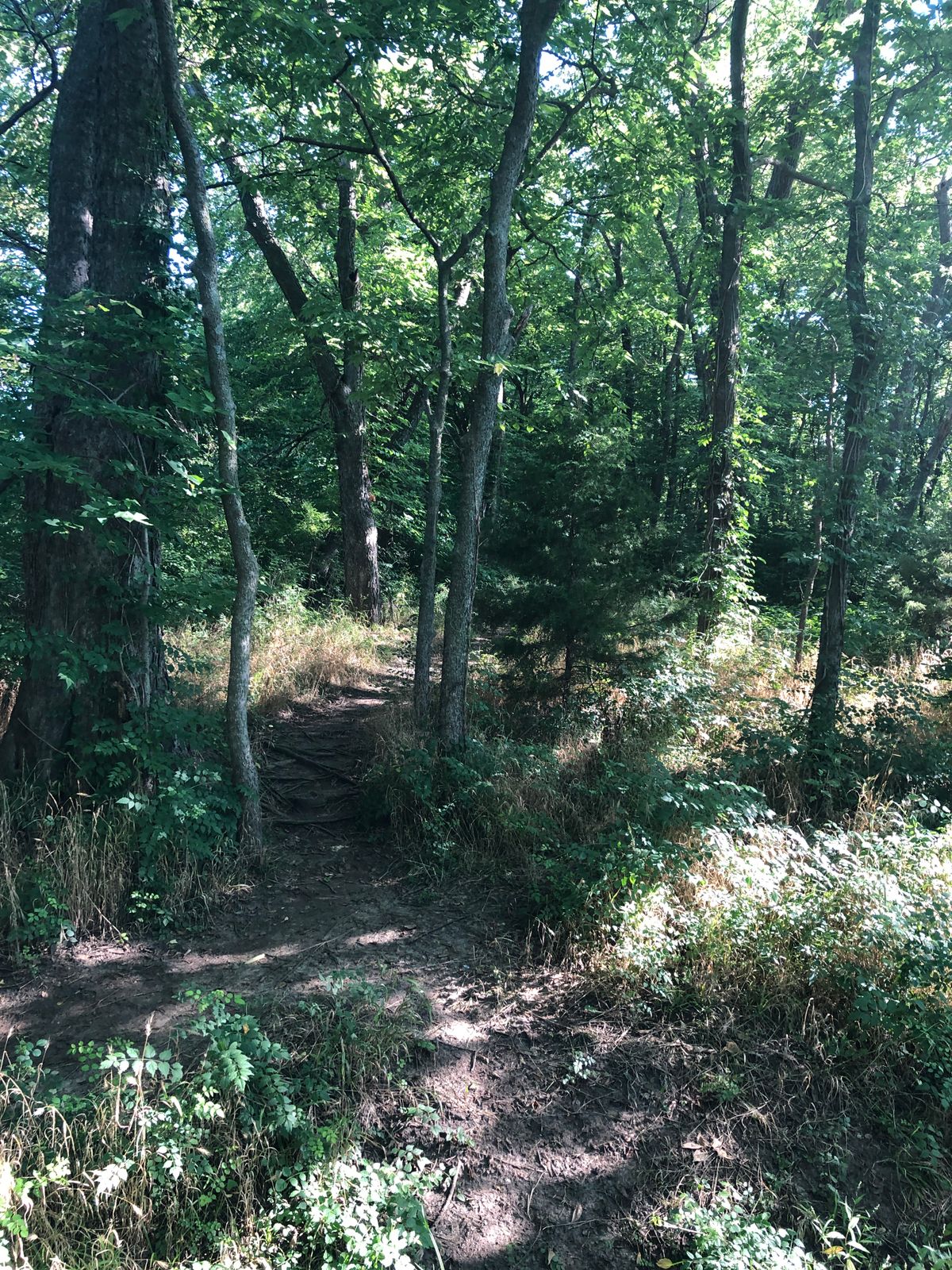 Path between holes in the back 9.