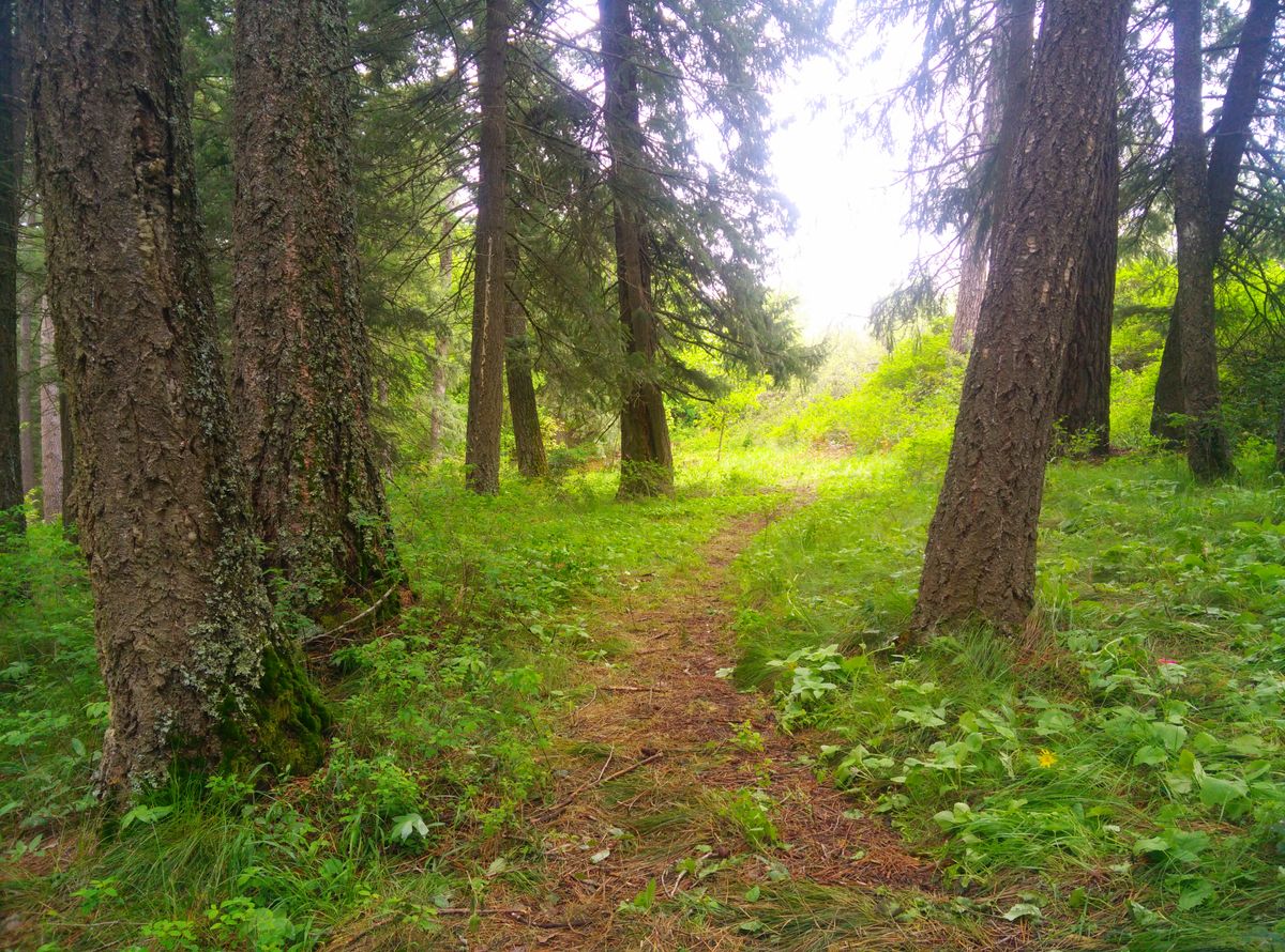 Hole 5