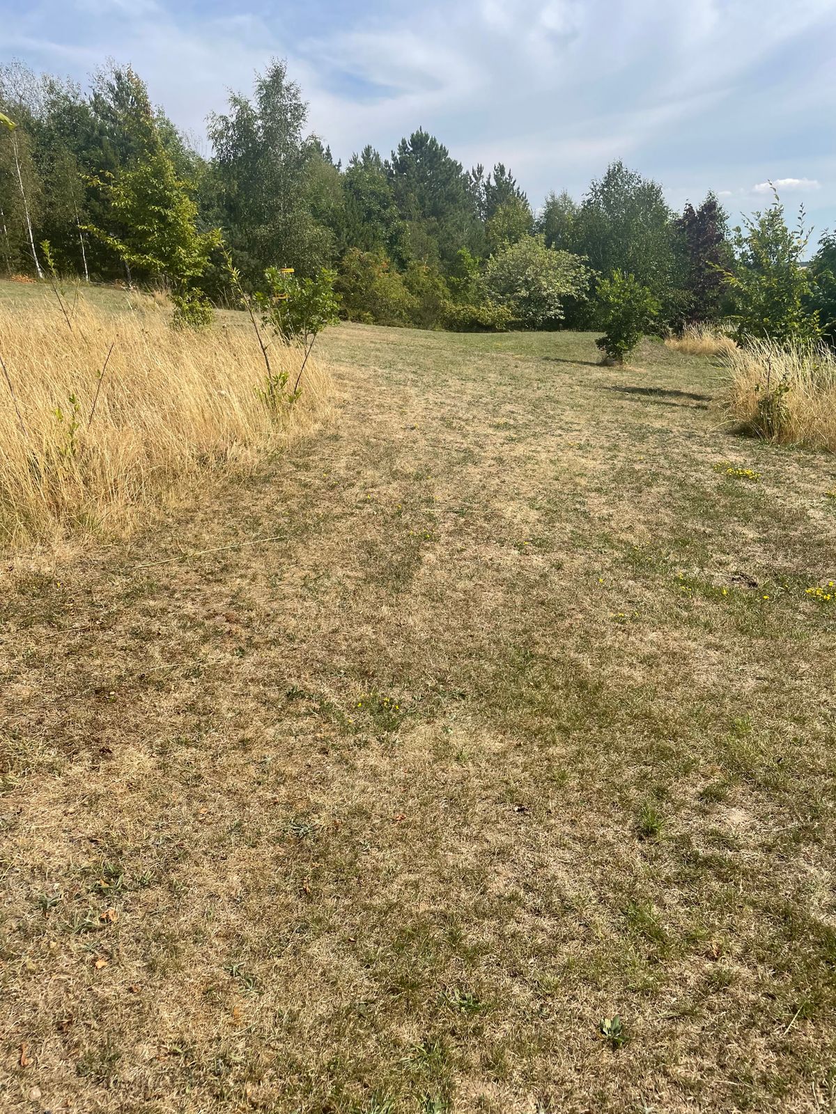 Hole 8 from Tee