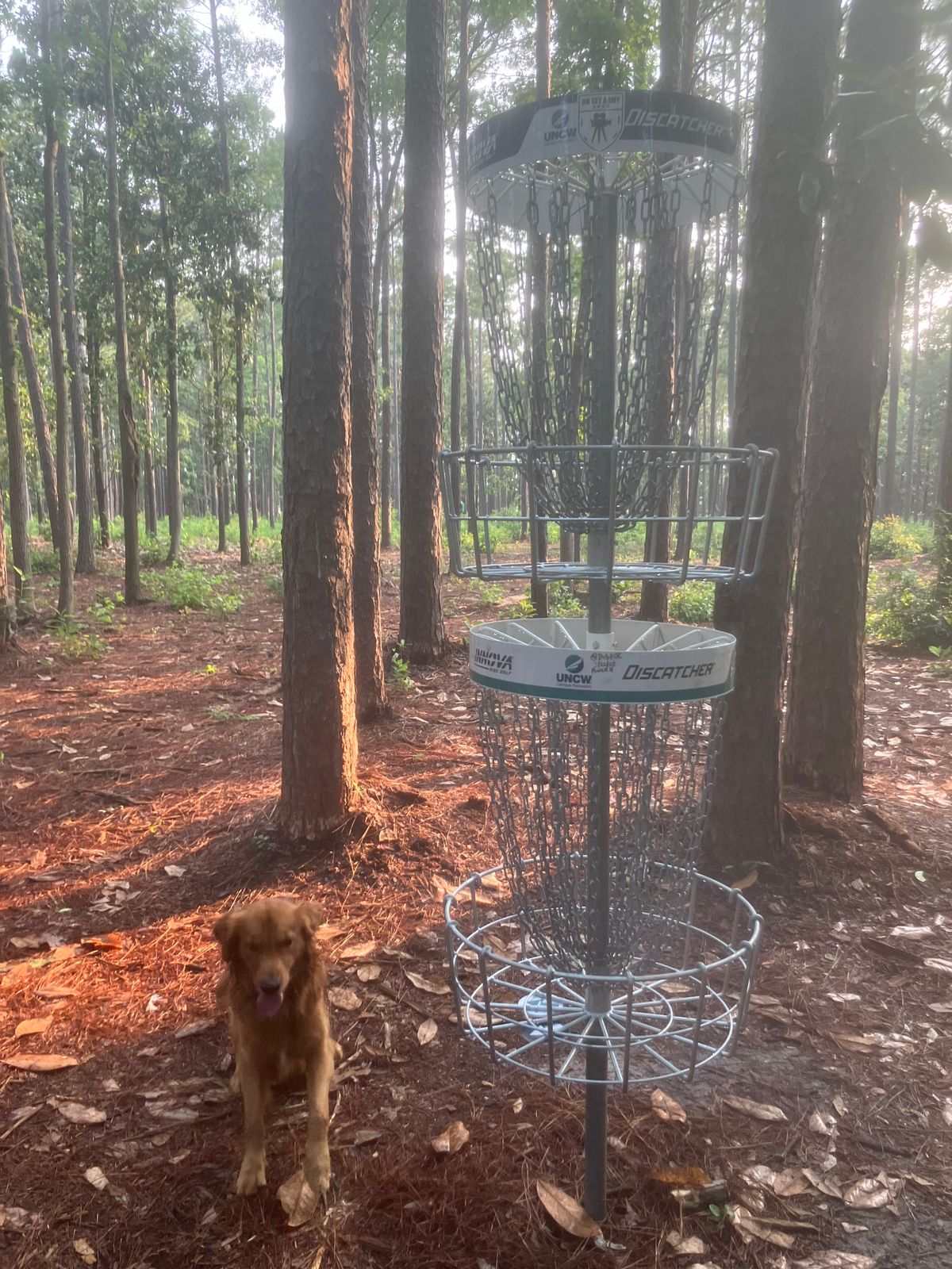 Leroy Brown at the double basket on hole 7.