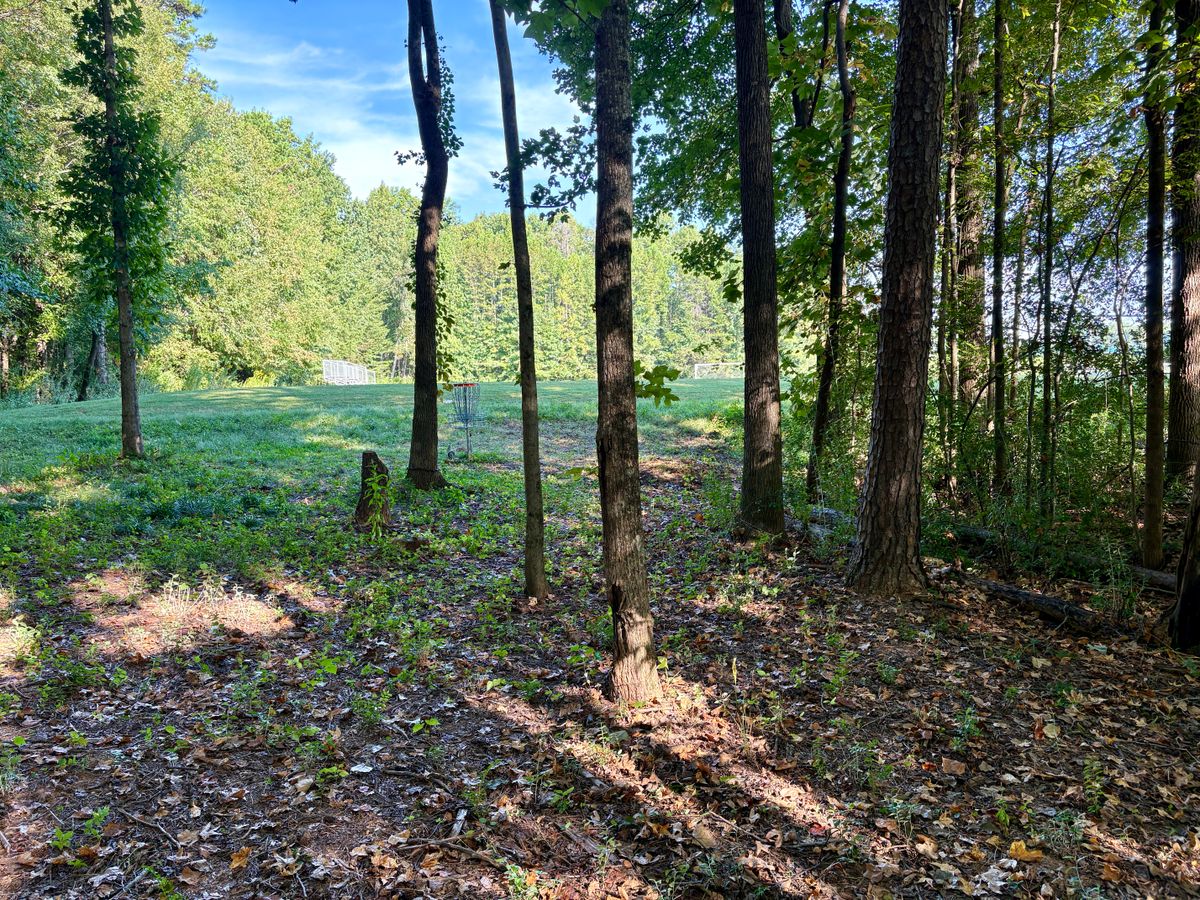 Hole 8 approach
