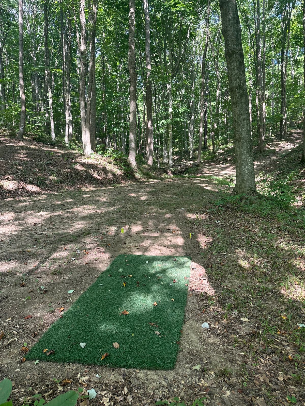 Hole 3 - Short tee