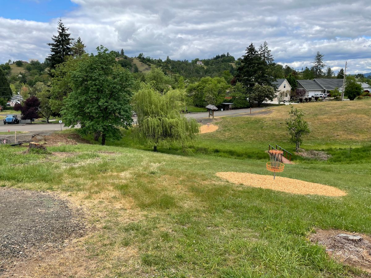Hole 3 basket short and left of the second map, past willow tree. The 1st basket is for another hole