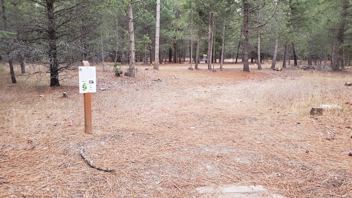 Tee pad hole 9