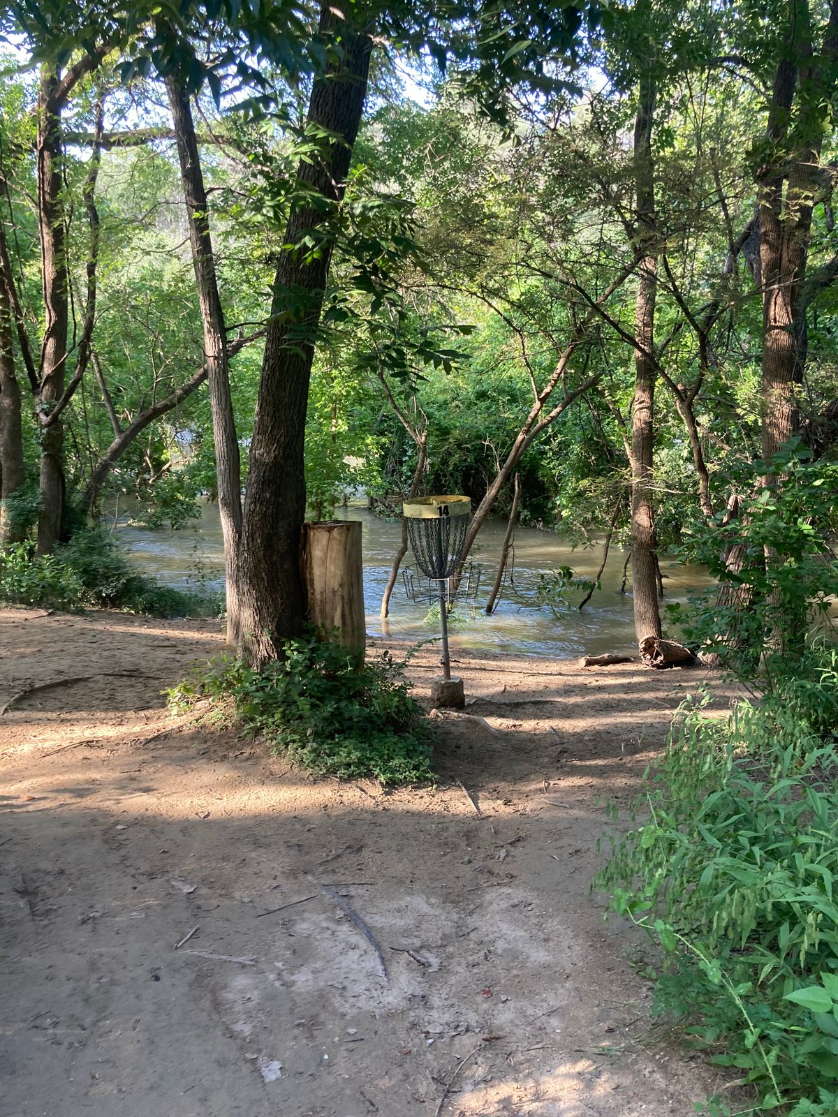 Hole 14 Basket (Water behind)