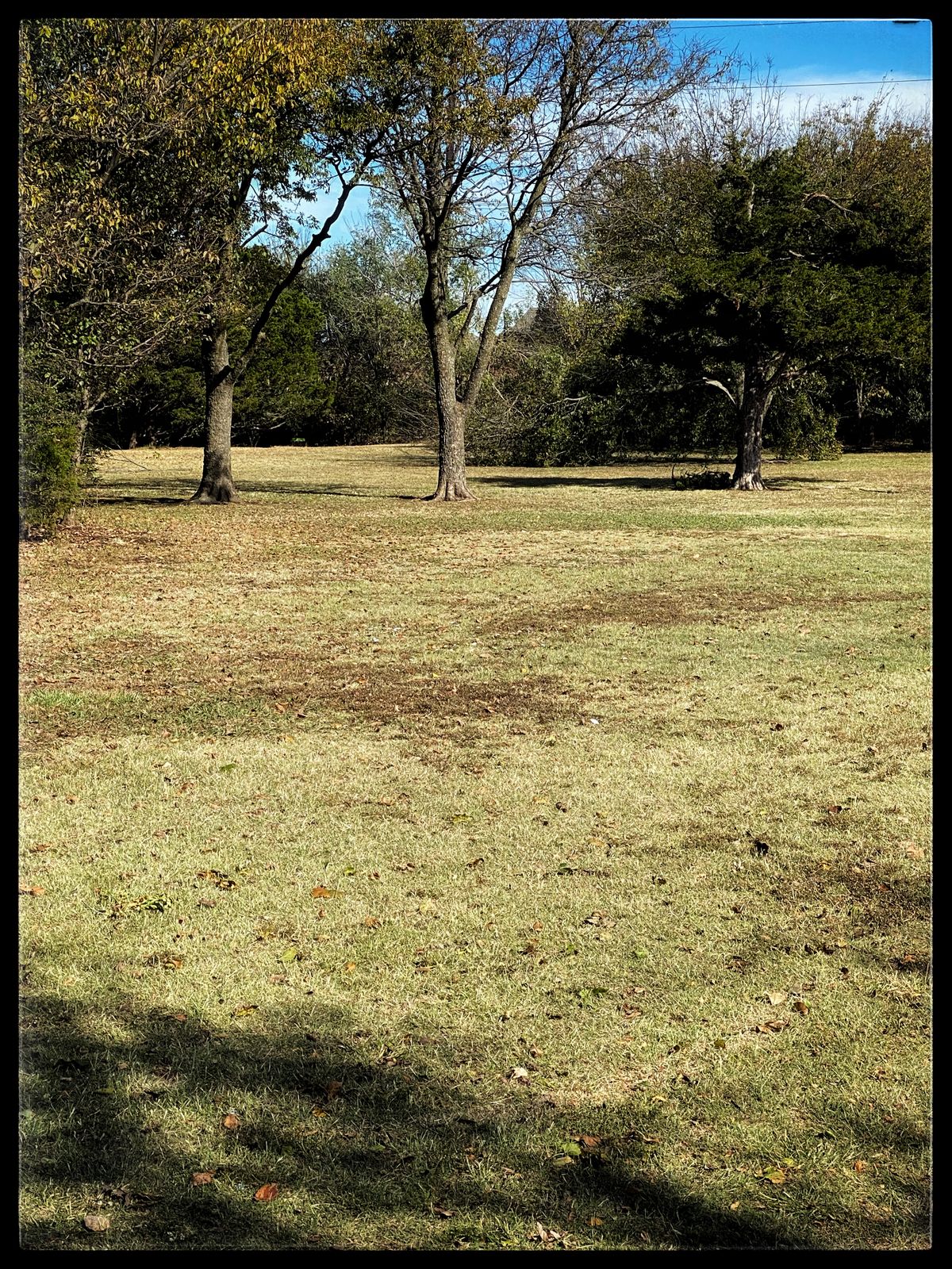 Some ice damage on #2 fairway- 30-OCT-20