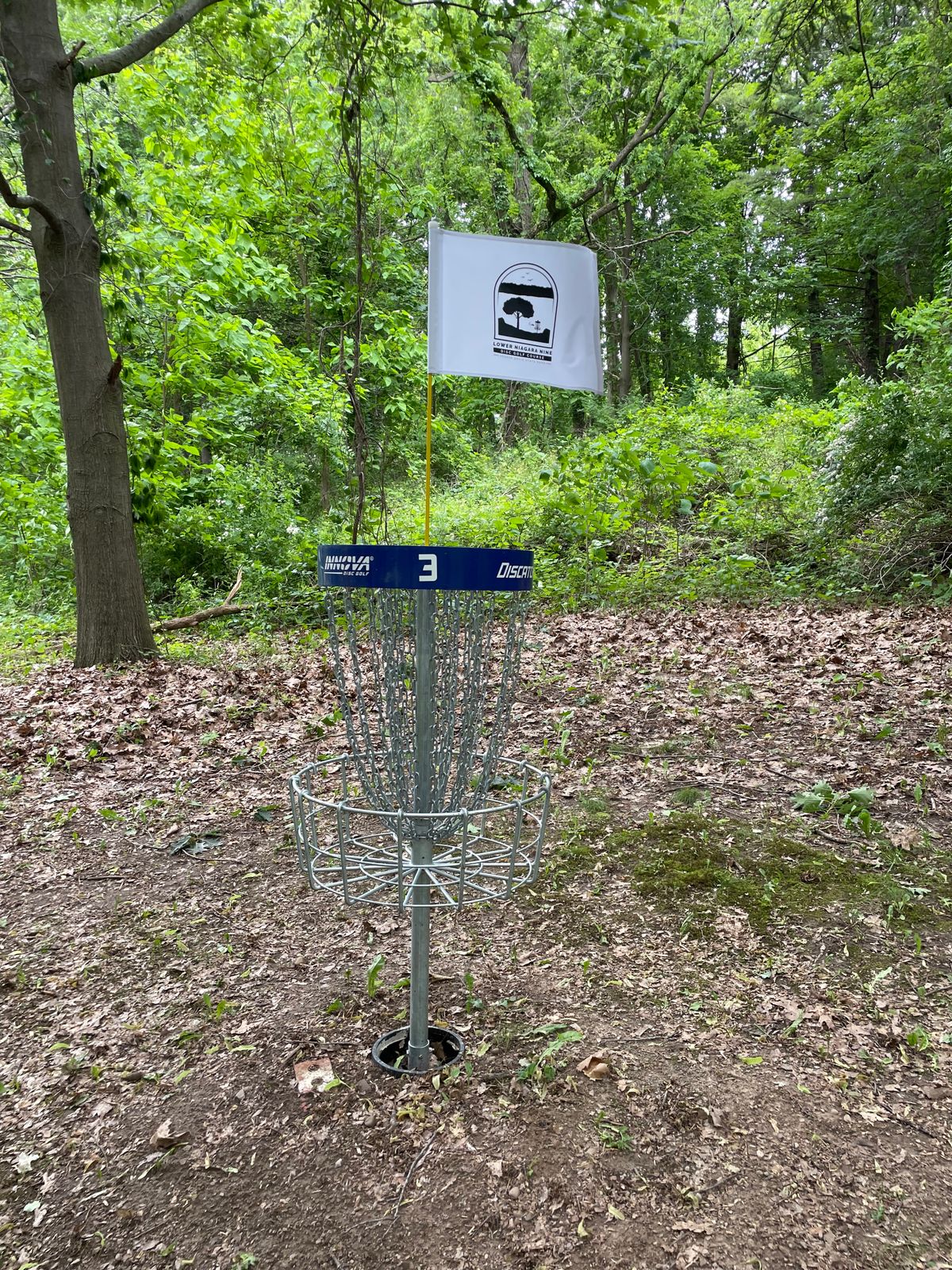Hole 3 basket