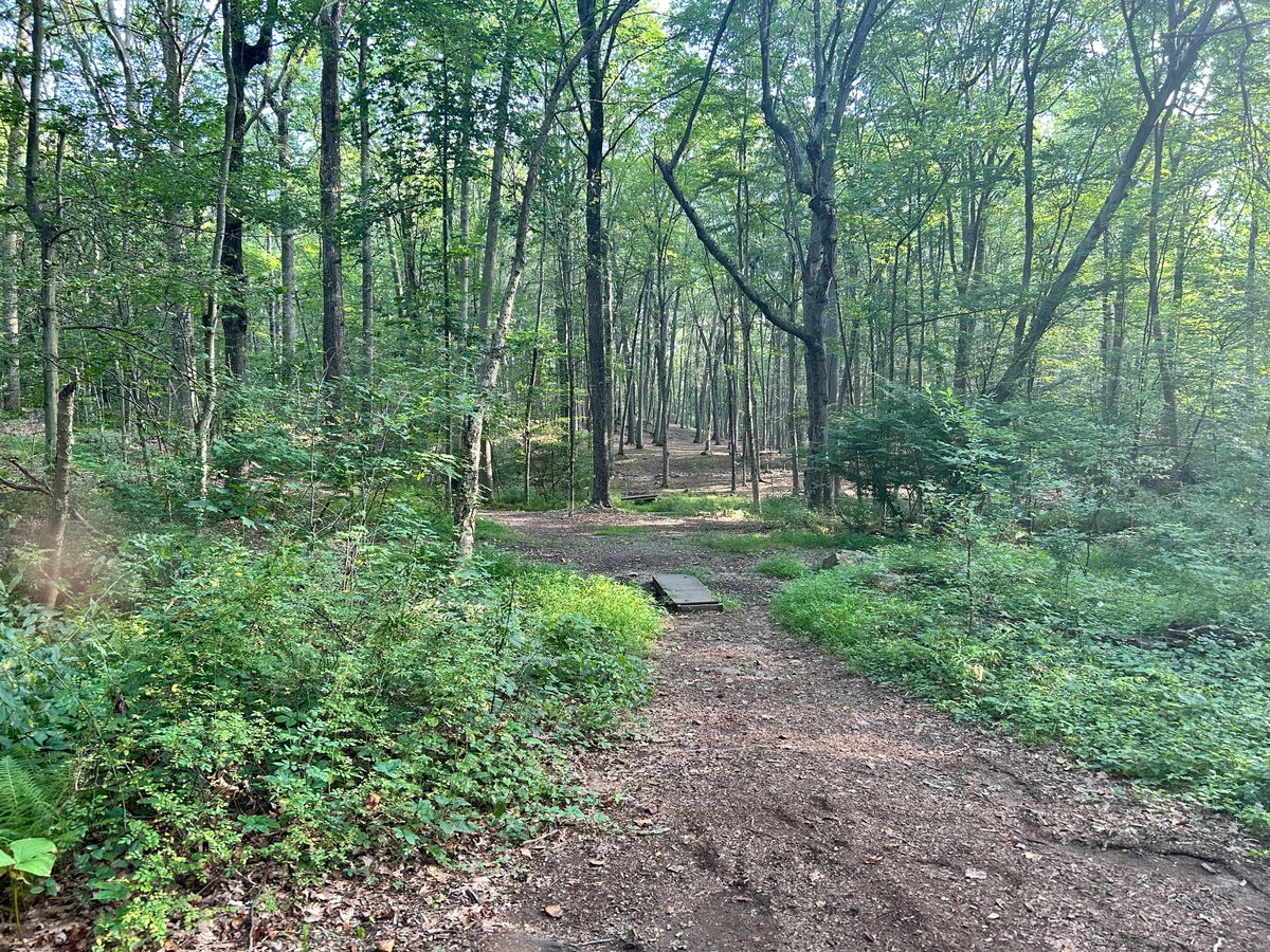 Hole 6
