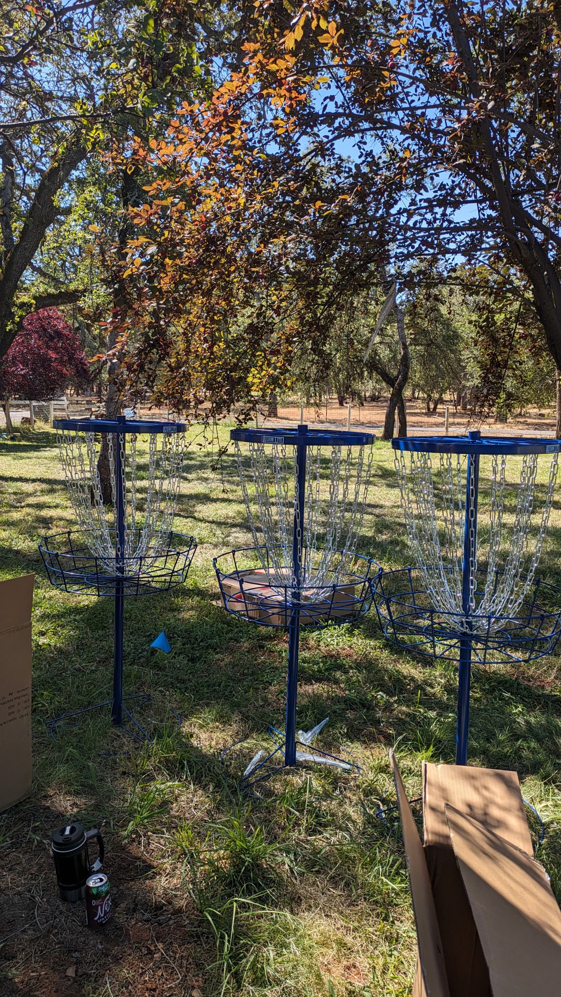 Most Baskets are Axiom Lites