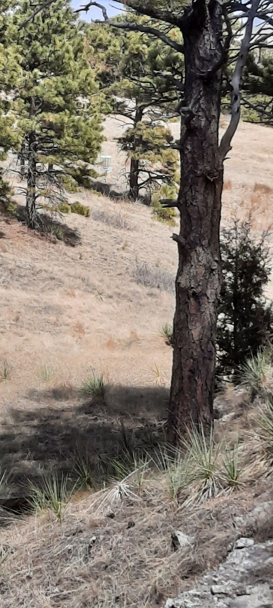 Hole 2 from tee