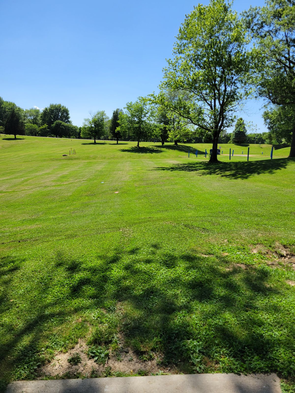 7 fairway. MANDO left of first tree. Parking lot pylons mark OB.