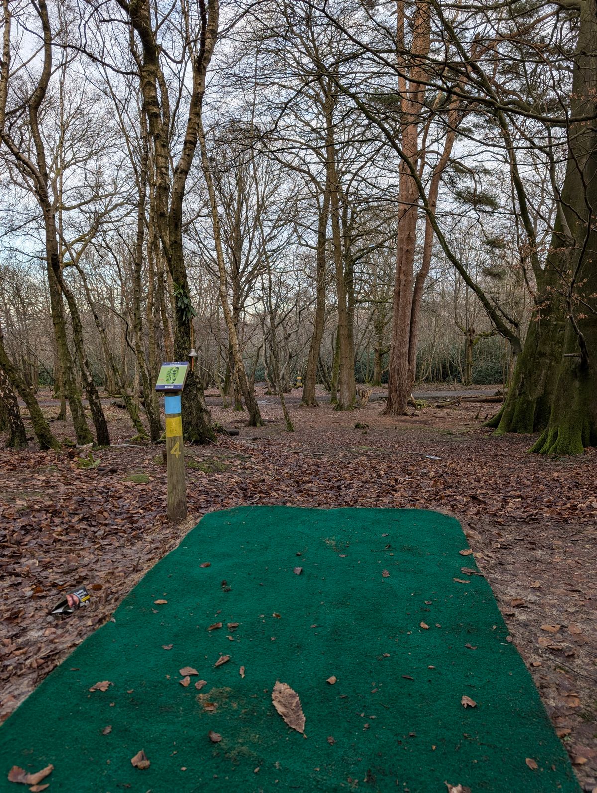 Hole 4 blue/yellow tee