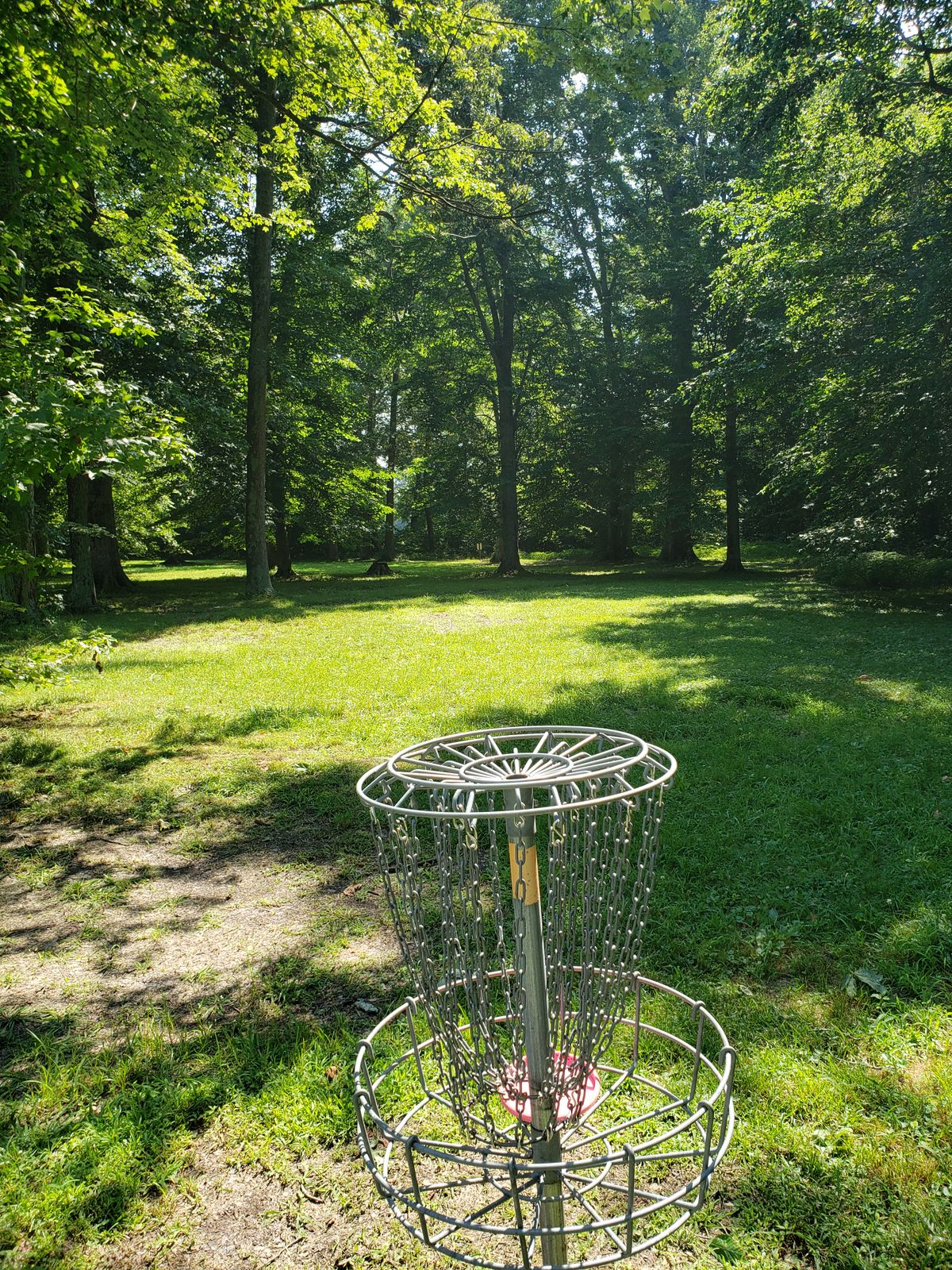 #4 Basket looking back to the Tee-Off sign.