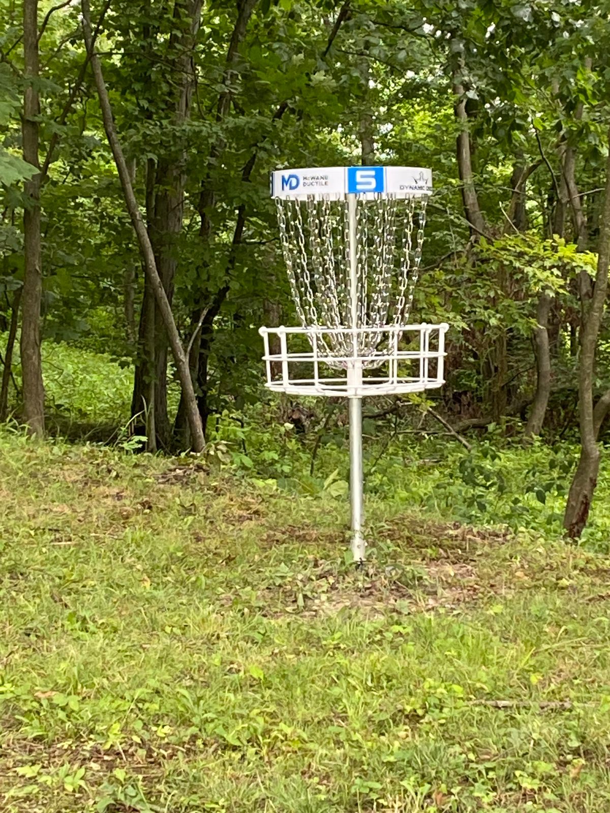 Basket 100' in woods, hill drops away behind basket