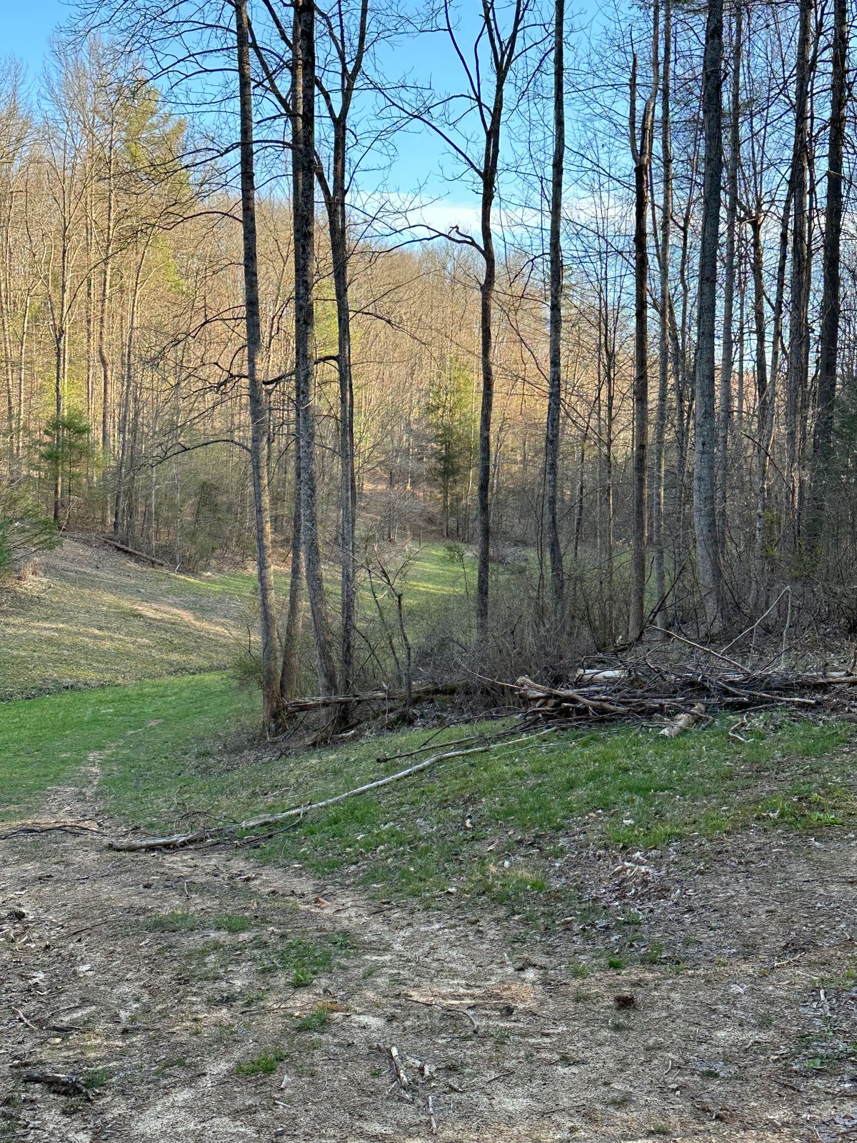 13's blue tee, mando right through the gap.