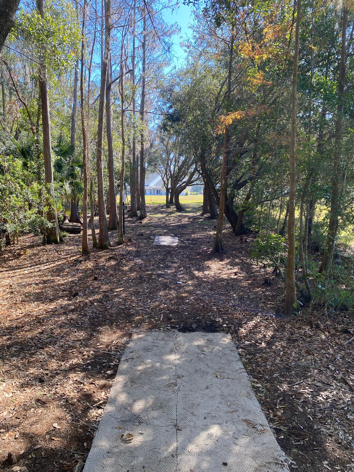 Hole 2 Gold tee.