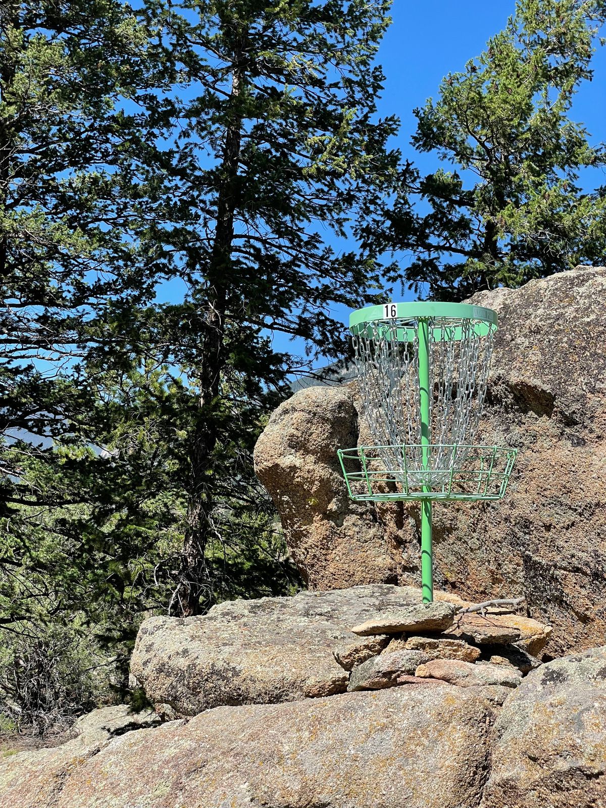 Hole 16 basket