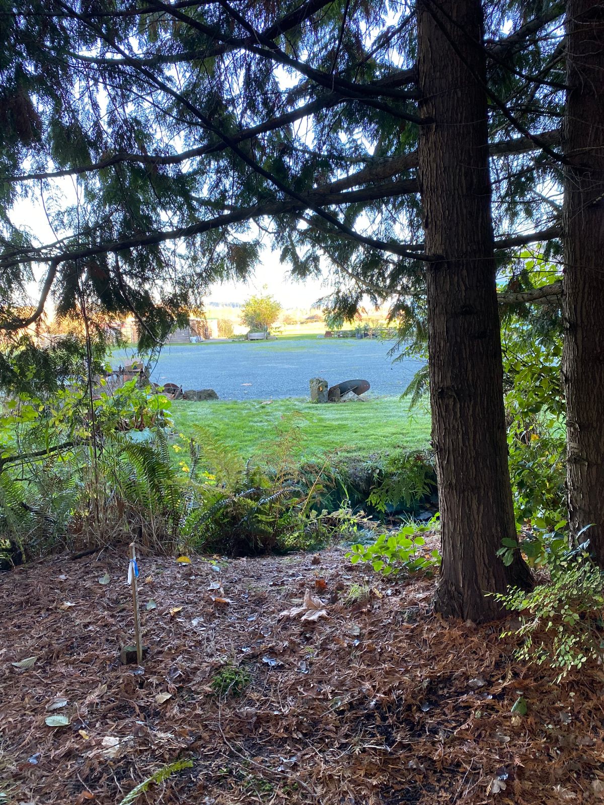 Hole 1 alternate tee