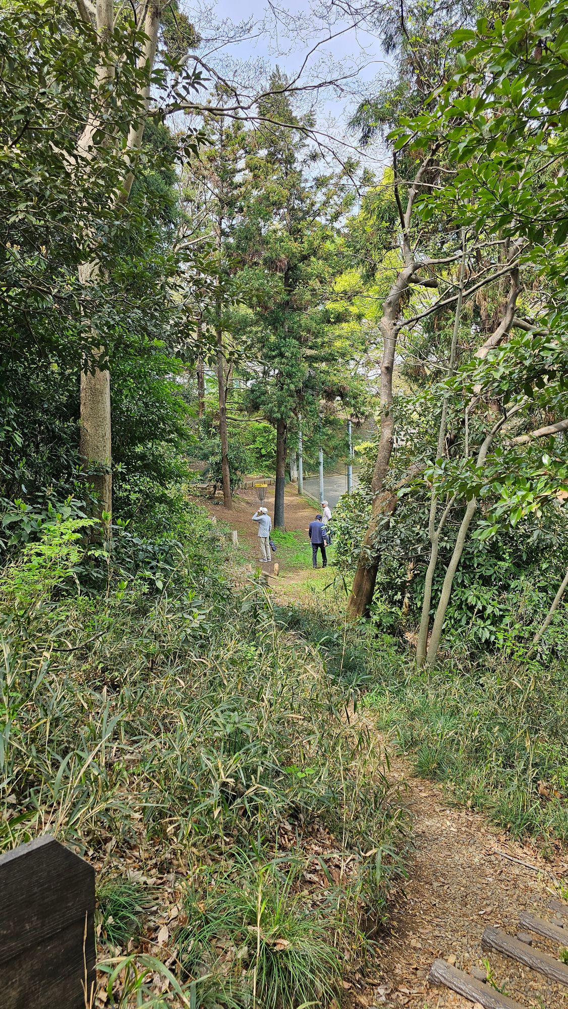 Hole 6