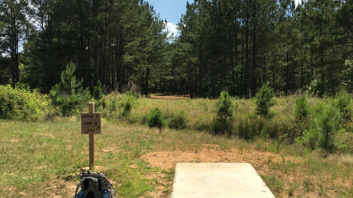 Hole 2