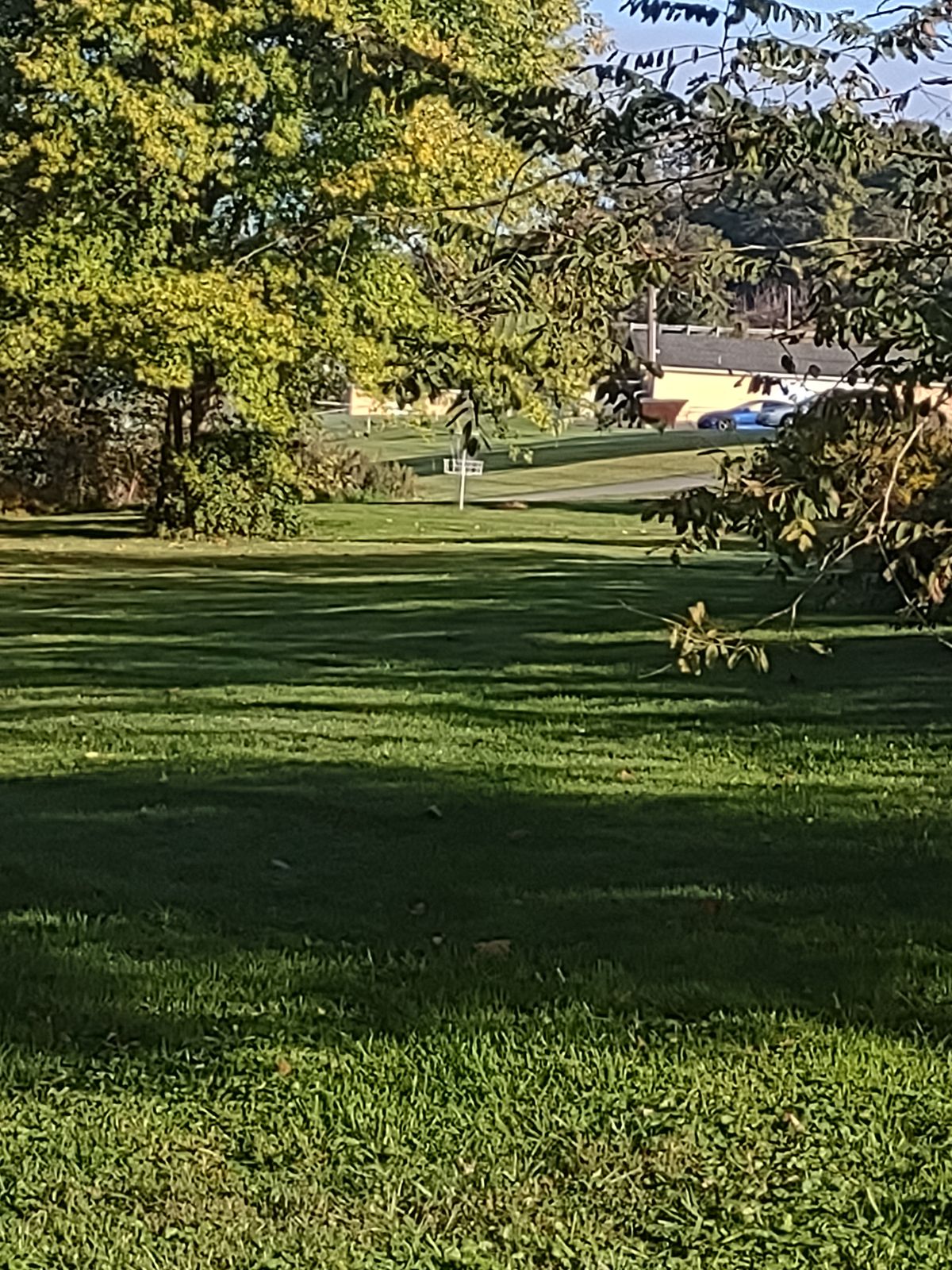 View of hole 7 half way into the fairway.