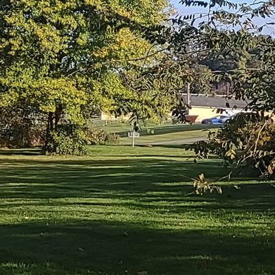 View of hole 7 half way into the fairway.