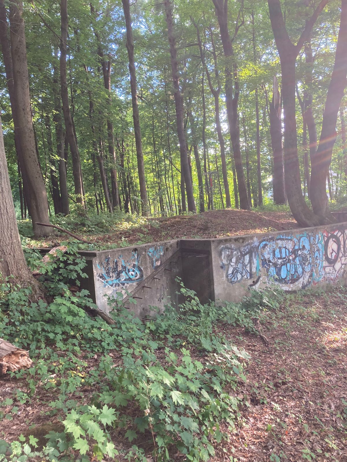 Hole 14 basket