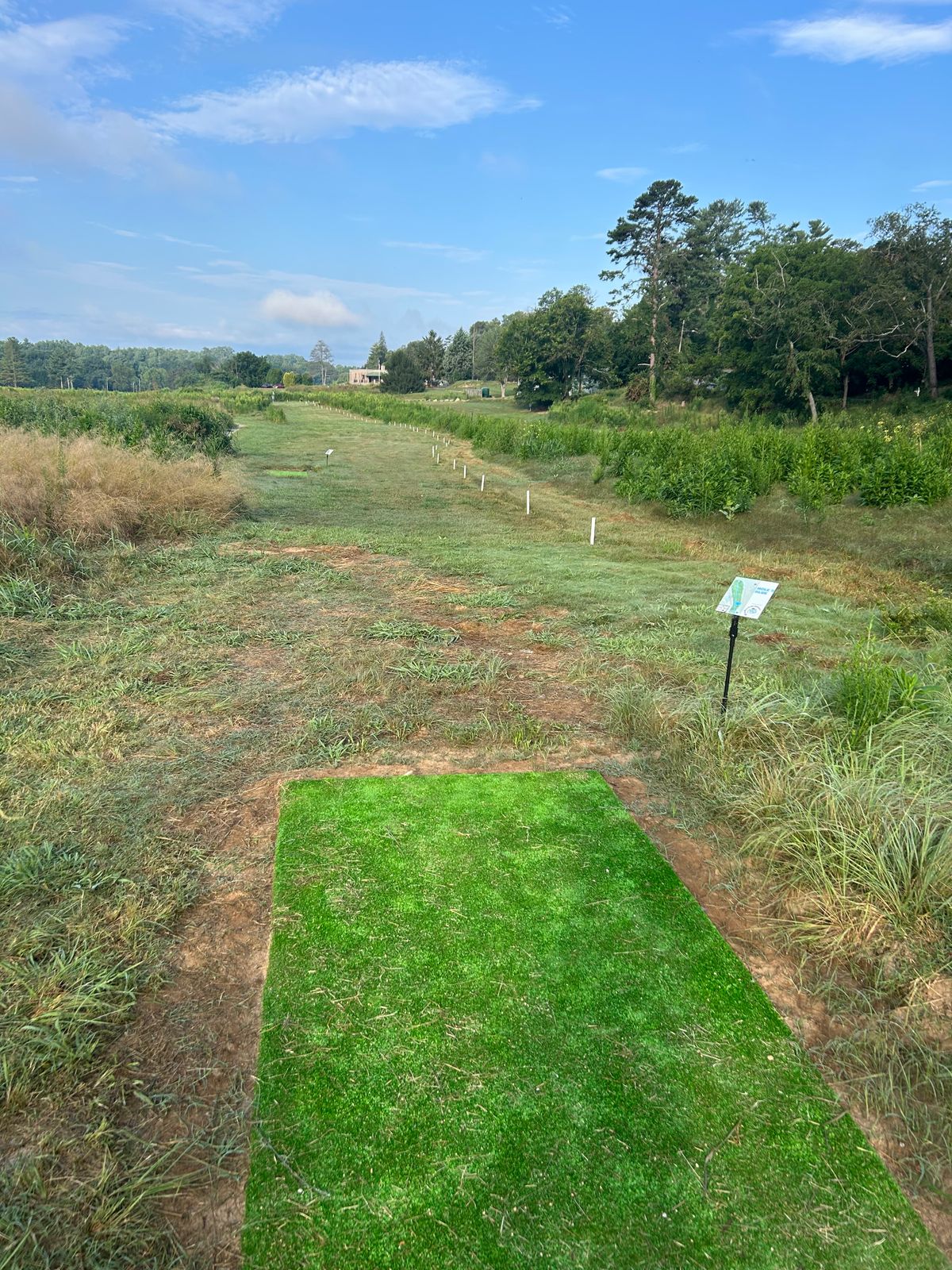Hole 5 long tee