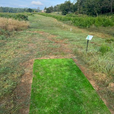 Hole 5 long tee