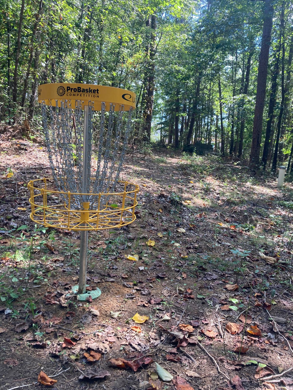 Hole #4: Looking up the tight straight fairway to tee. All baskets nice NEW LATITUDE 64°!