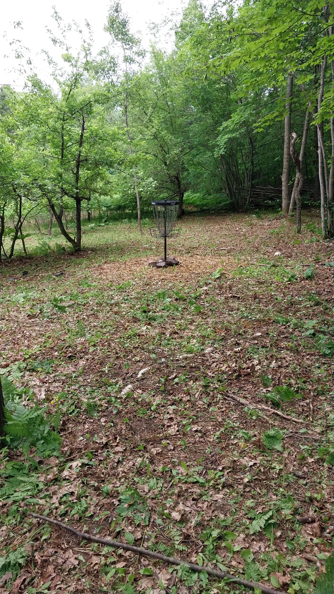 Hole 2 short