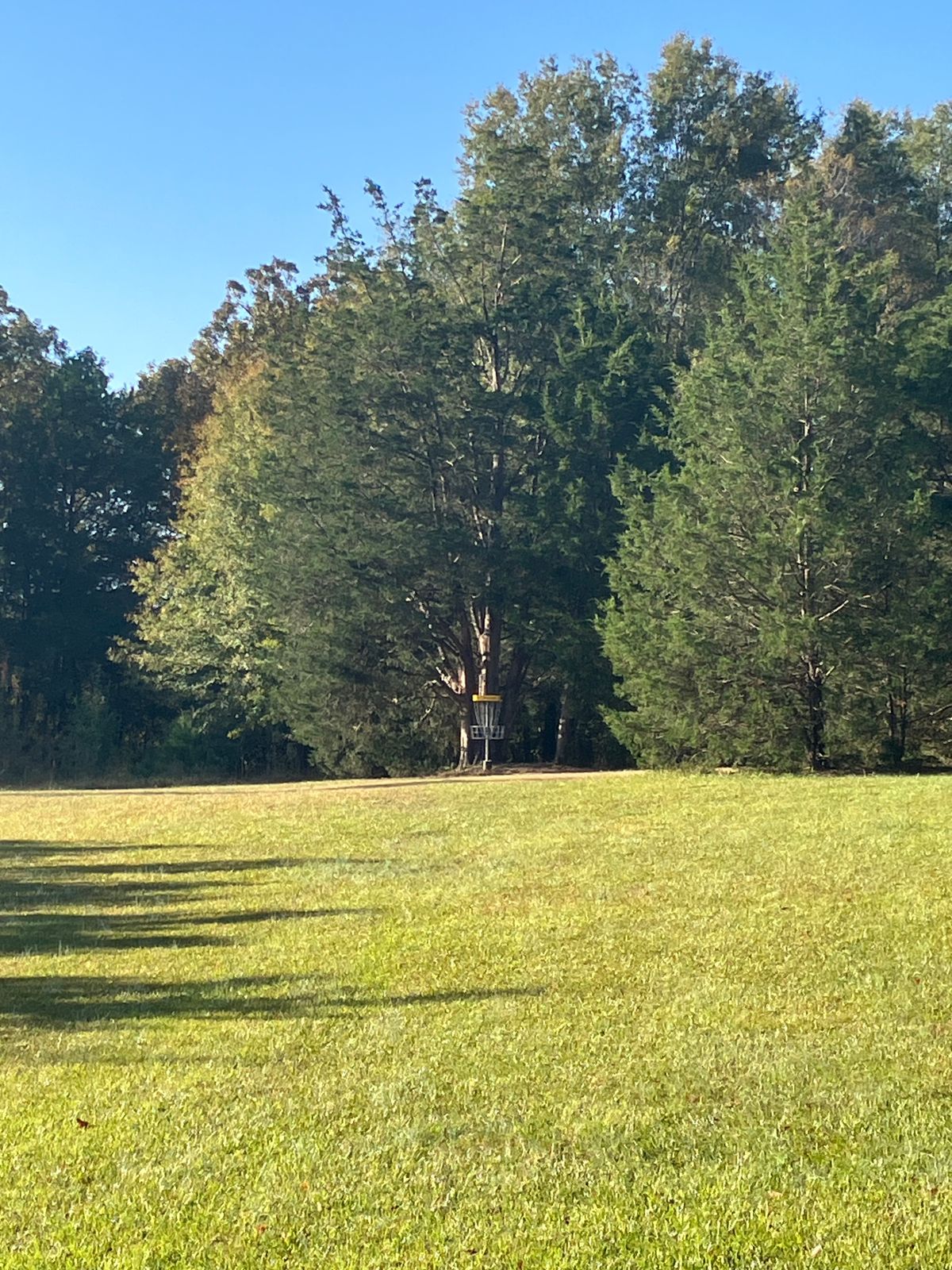 Hole 1 basket