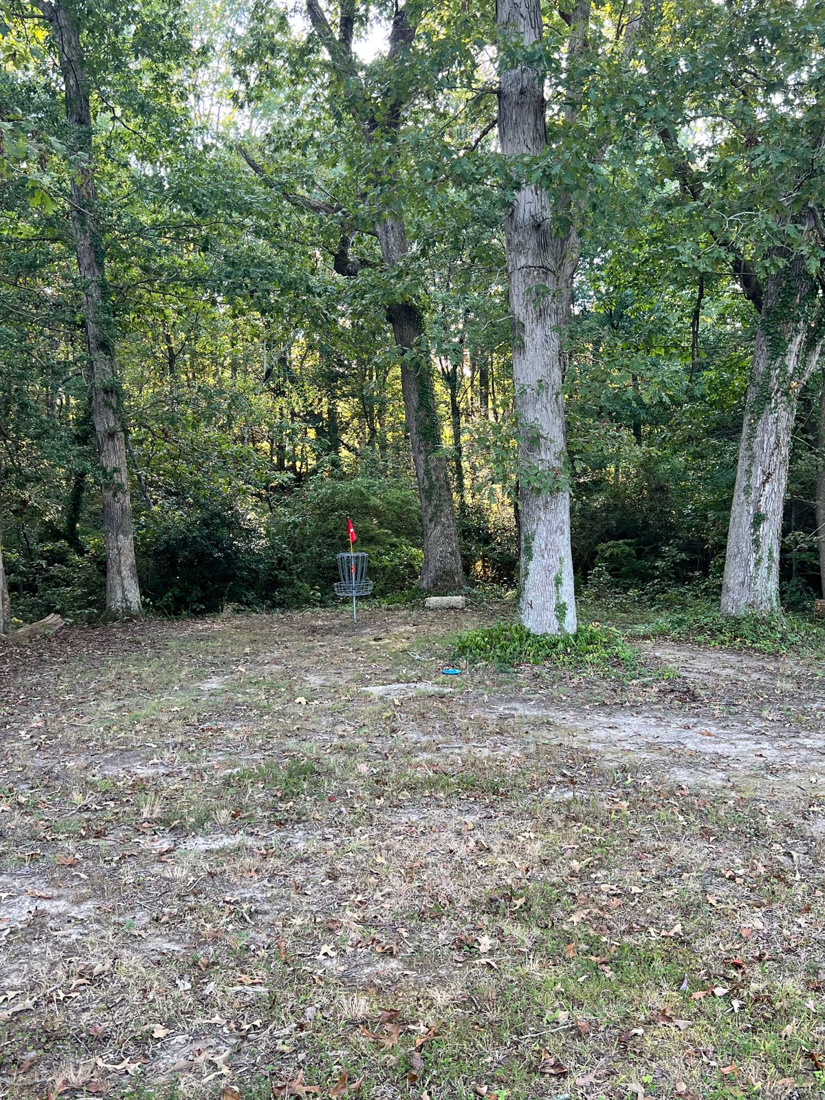 Hole 4 long position